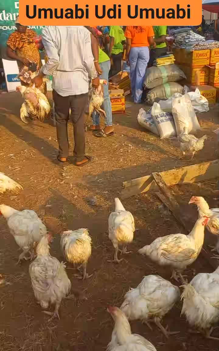 Volunteers distributing food supplies at the Darlstina Foundation giveaway for widows
